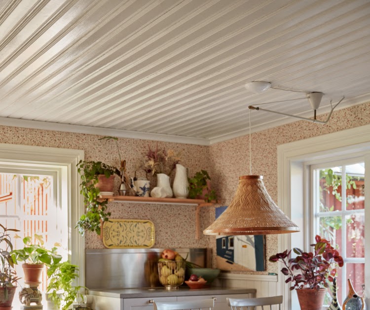 Kur susitinka laikas, knygos ir šviesa